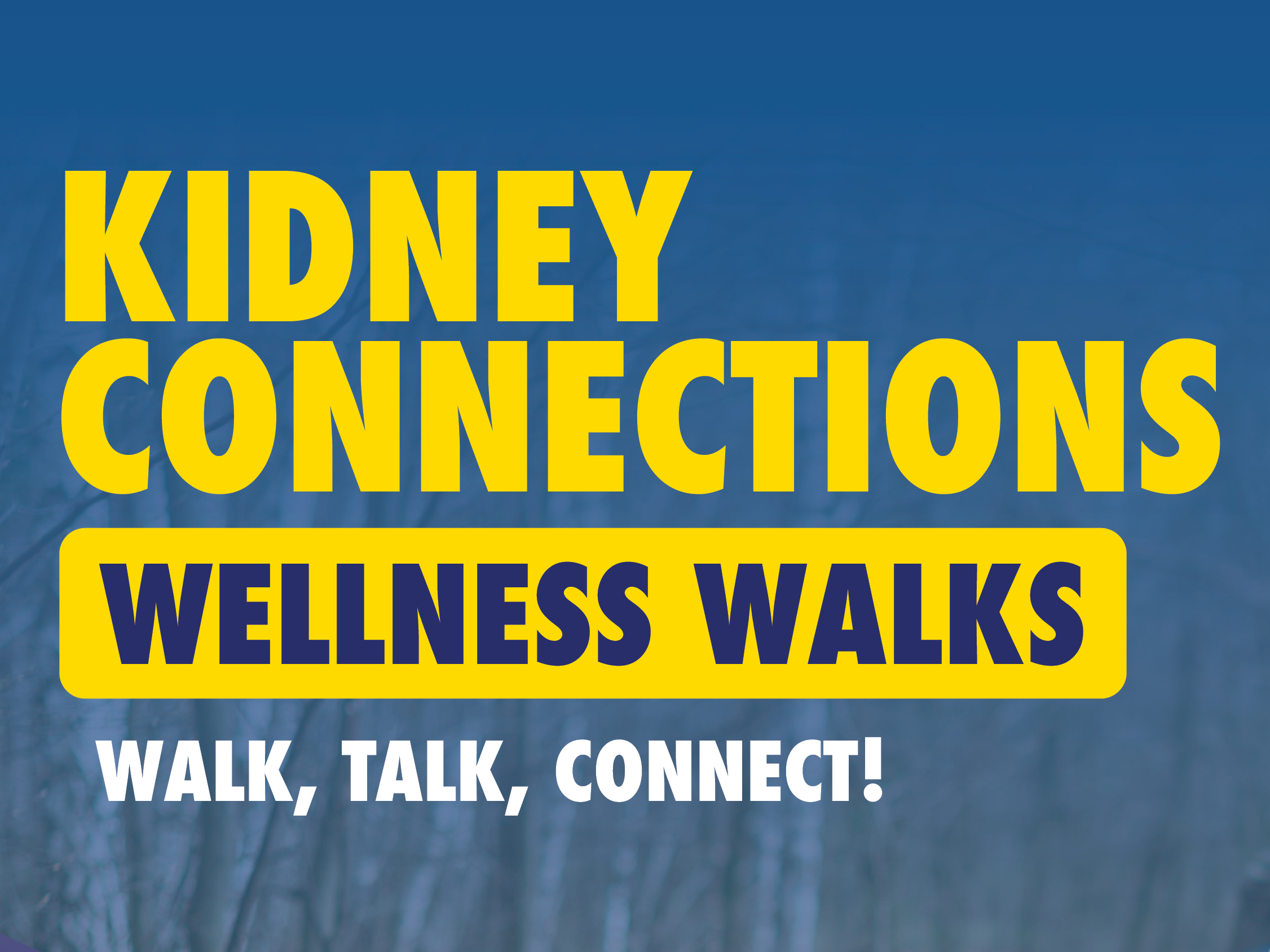 Kidney Connections – Wellness Walk Banner